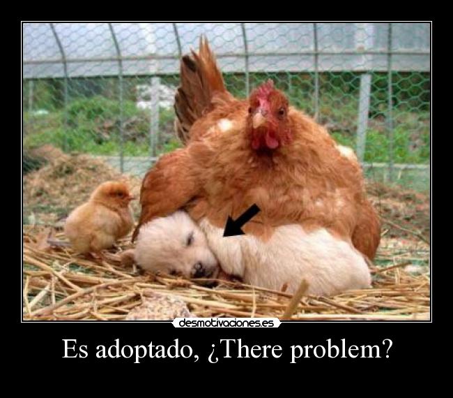 Es adoptado, ¿There problem? -
