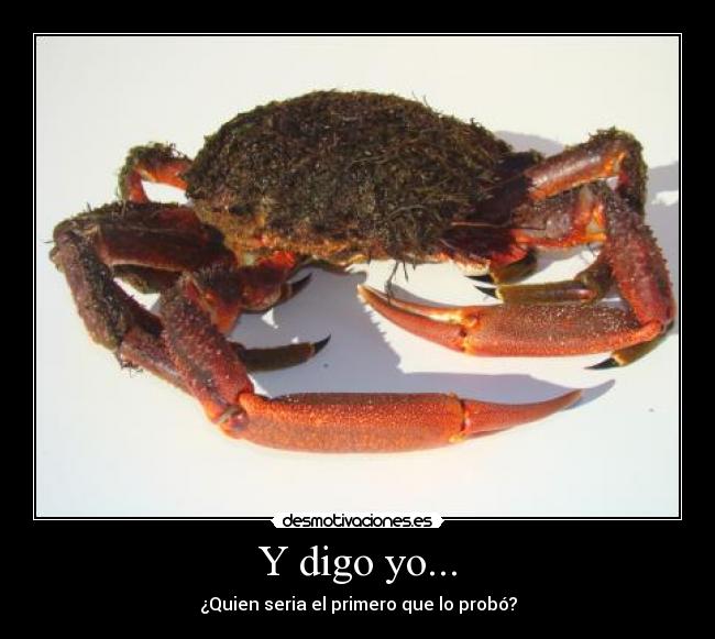 Y digo yo... -