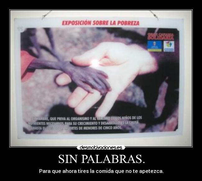 SIN PALABRAS. -