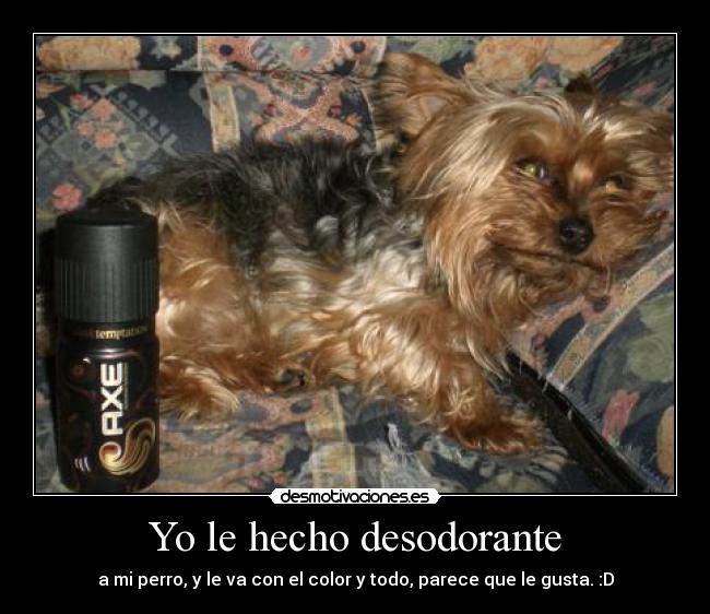 Yo le hecho desodorante -