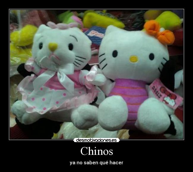 Chinos - 