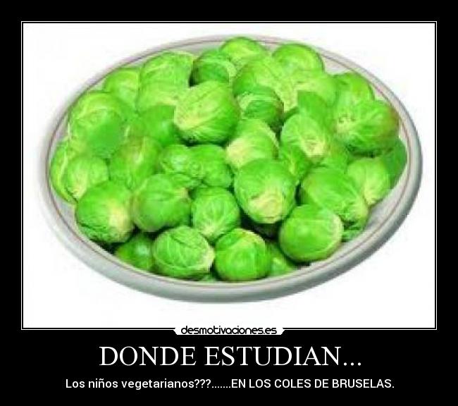 DONDE ESTUDIAN... - Los niños vegetarianos???.......EN LOS COLES DE BRUSELAS.