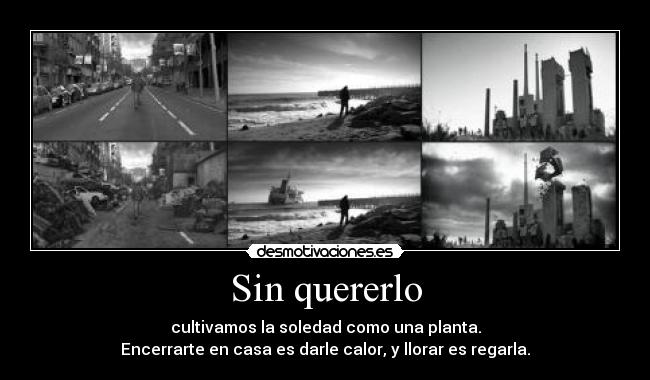 Sin quererlo - cultivamos la soledad como una planta.
Encerrarte en casa es darle calor, y llorar es regarla.