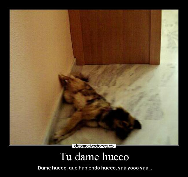 Tu dame hueco -