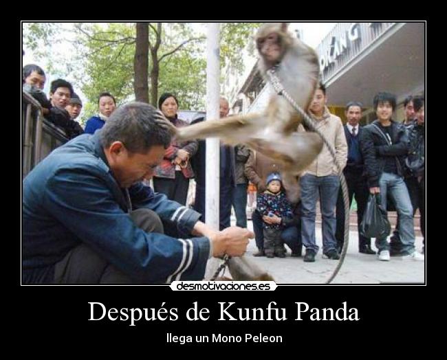Después de Kunfu Panda - llega un Mono Peleon