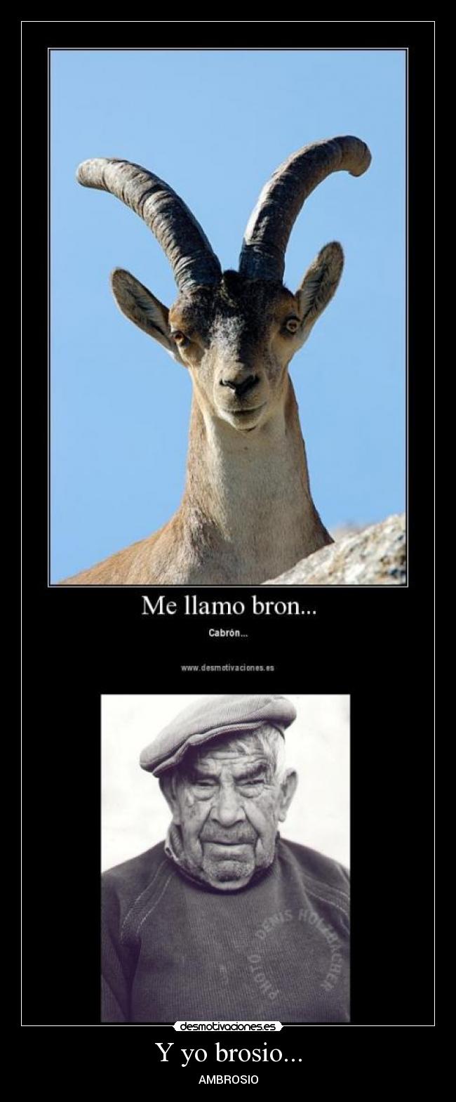 Y yo brosio... - 
