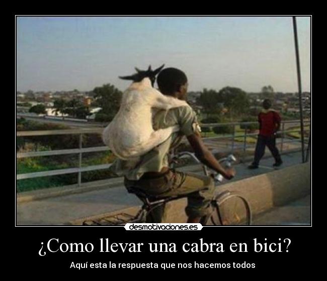 ¿Como llevar una cabra en bici? - Aquí esta la respuesta que nos hacemos todos 