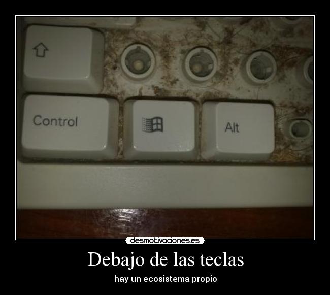 Debajo de las teclas -