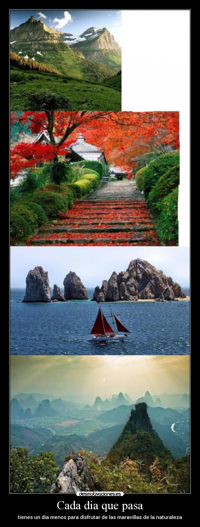 Cada dia que pasa - tienes un dia menos para disfrutar de las maravillas de la naturaleza