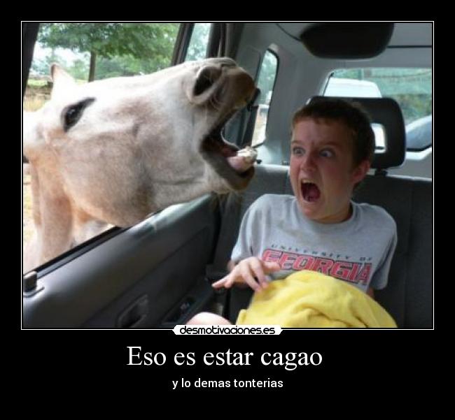 Eso es estar cagao -