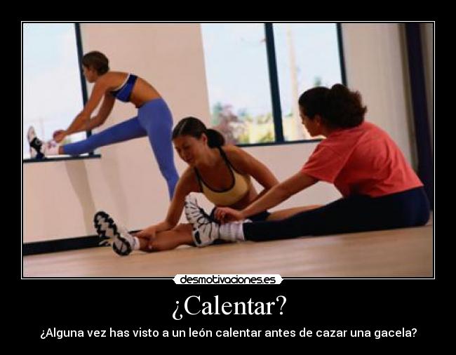 ¿Calentar? - ¿Alguna vez has visto a un león calentar antes de cazar una gacela?