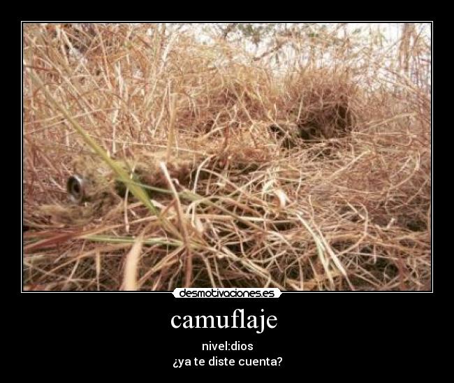 camuflaje  - 