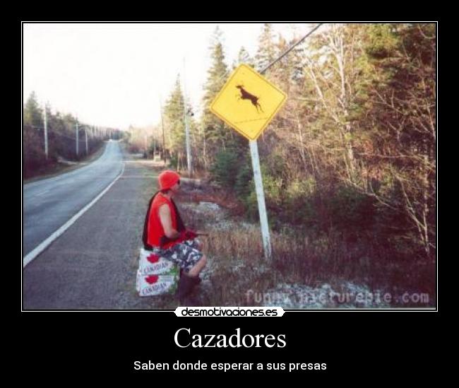 carteles walt_k desmotivaciones