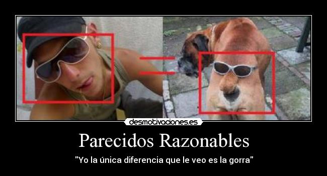 Parecidos Razonables -