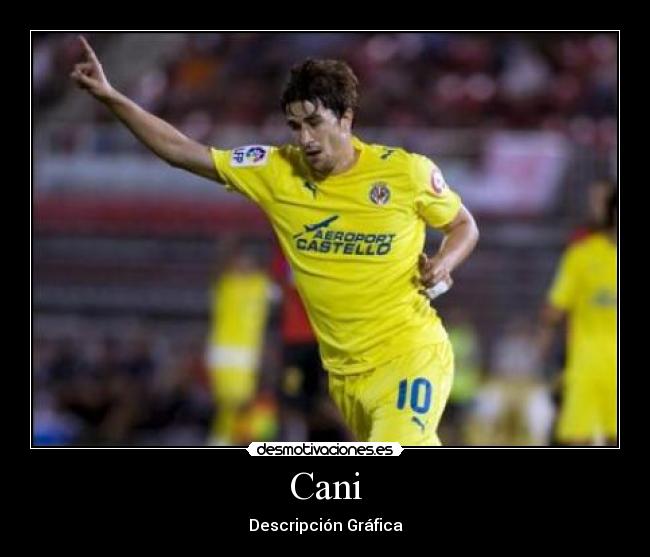 Cani - Descripción Gráfica