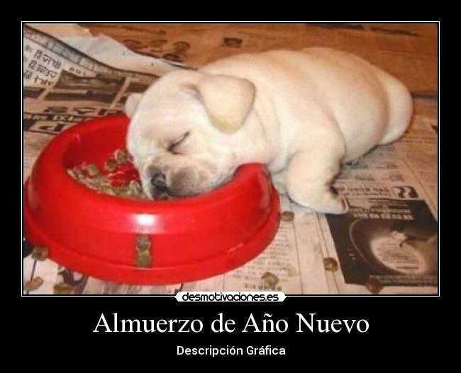 Almuerzo de Año Nuevo - Descripción Gráfica