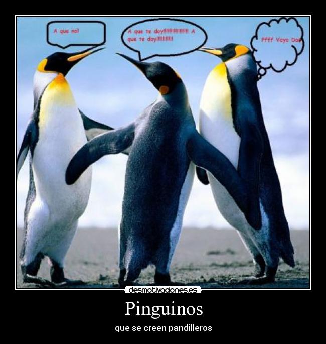 Pinguinos - que se creen pandilleros