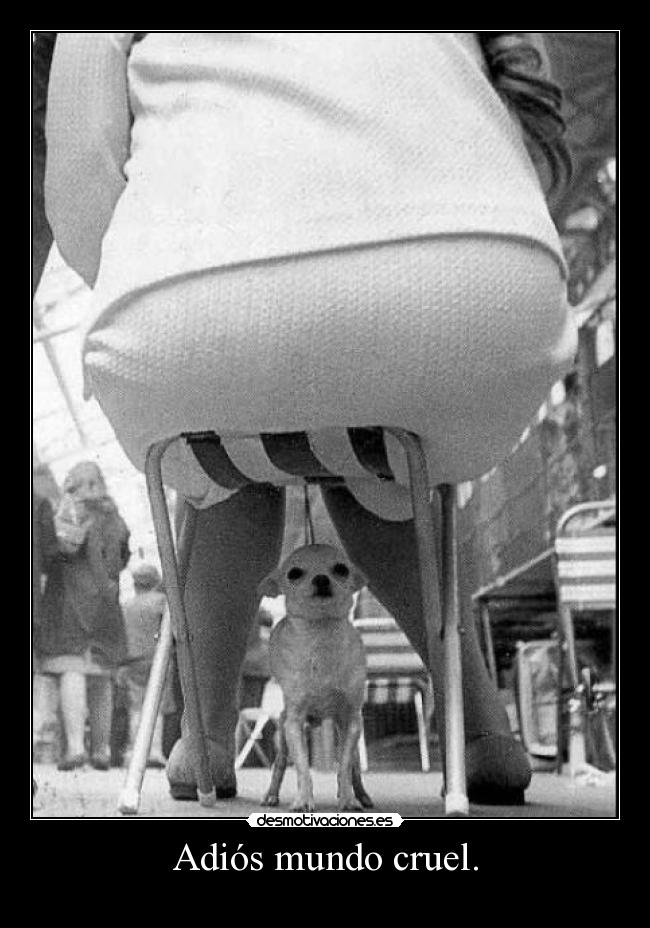 Adiós mundo cruel. - 