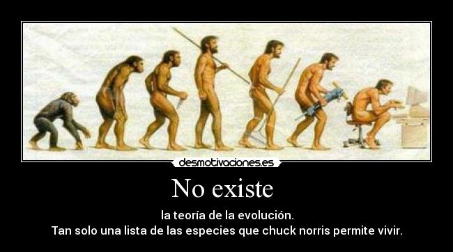 No existe  - la teoría de la evolución.
Tan solo una lista de las especies que chuck norris permite vivir.