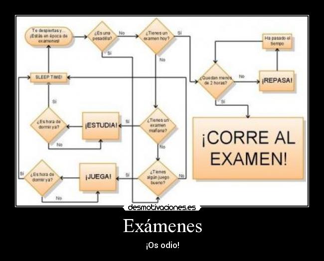 Exámenes - ¡Os odio!