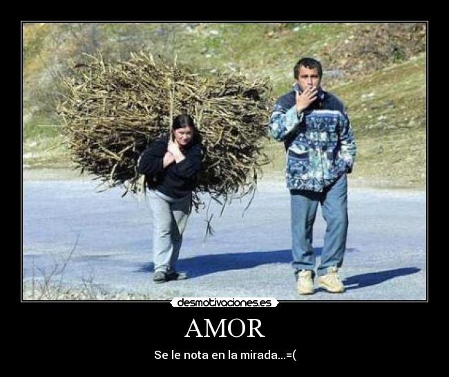AMOR -