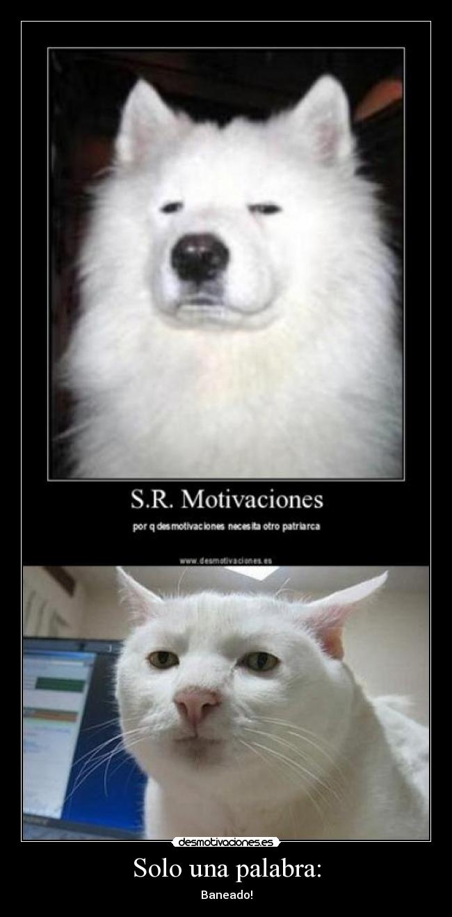 Solo una palabra: - Baneado!