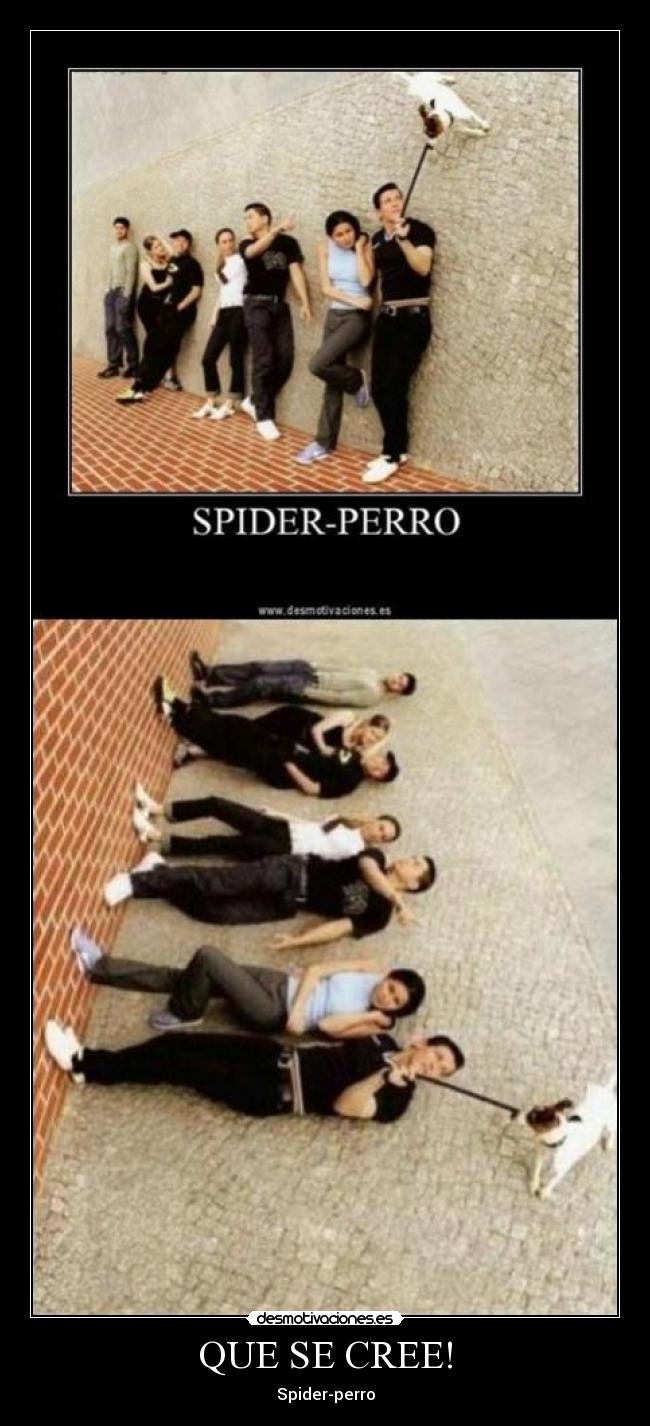 QUE SE CREE! - Spider-perro
