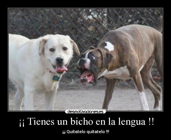 ¡¡ Tienes un bicho en la lengua !! - 