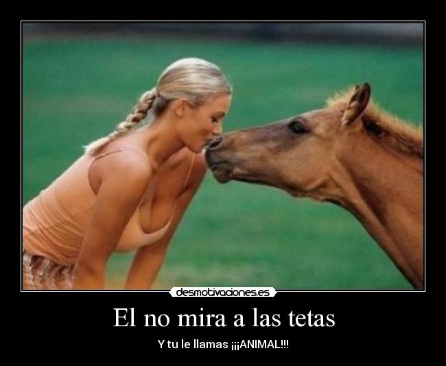 El no mira a las tetas - 