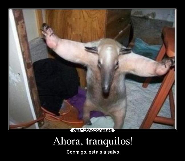 Ahora, tranquilos! - 
