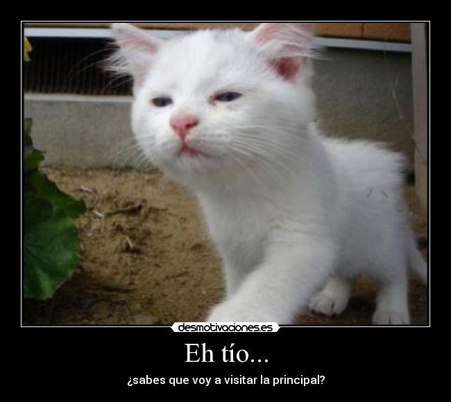 Eh tío... - ¿sabes que voy a visitar la principal?