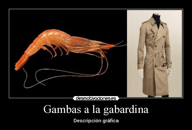 Gambas a la gabardina - Descripción gráfica