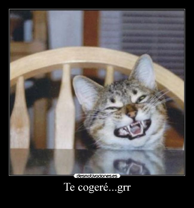 Te cogeré...grr - 