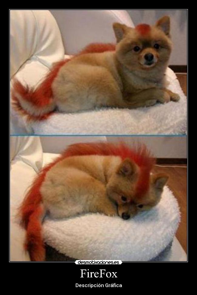 FireFox - 