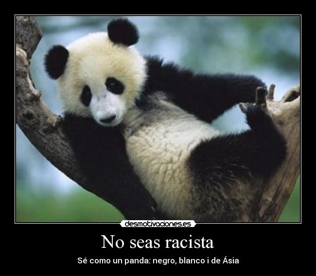 No seas racista - Sé como un panda: negro, blanco i de Ásia