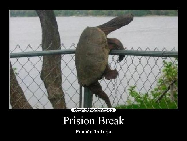 Prision Break - 