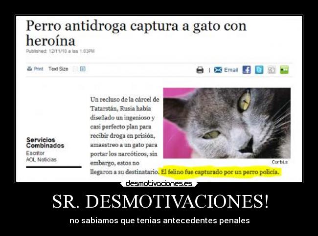 SR. DESMOTIVACIONES! - 