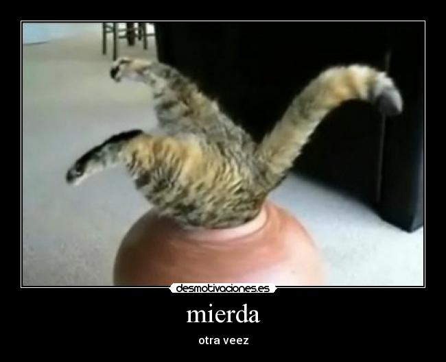mierda - 