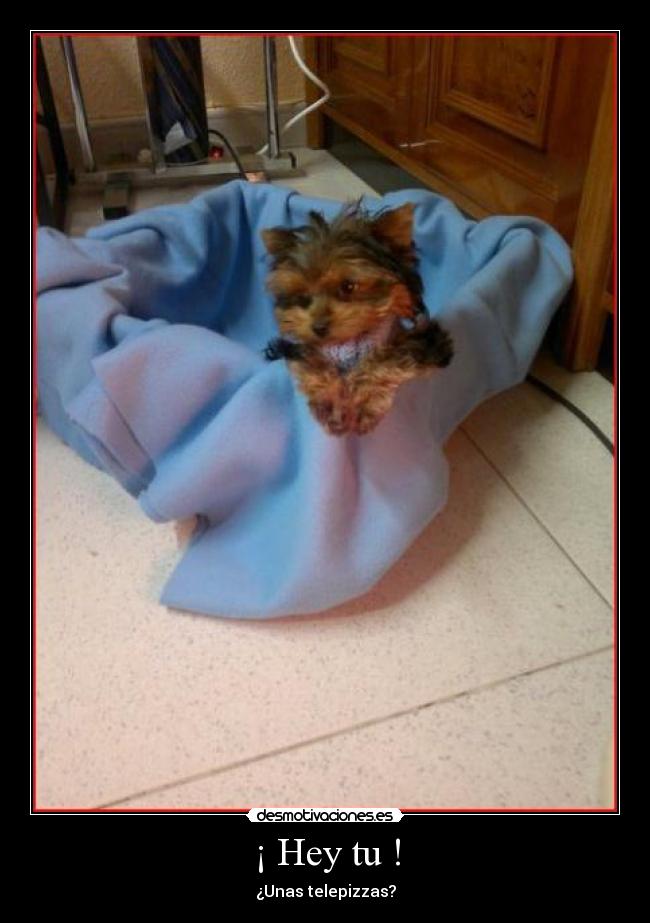 ¡ Hey tu ! - ¿Unas telepizzas?