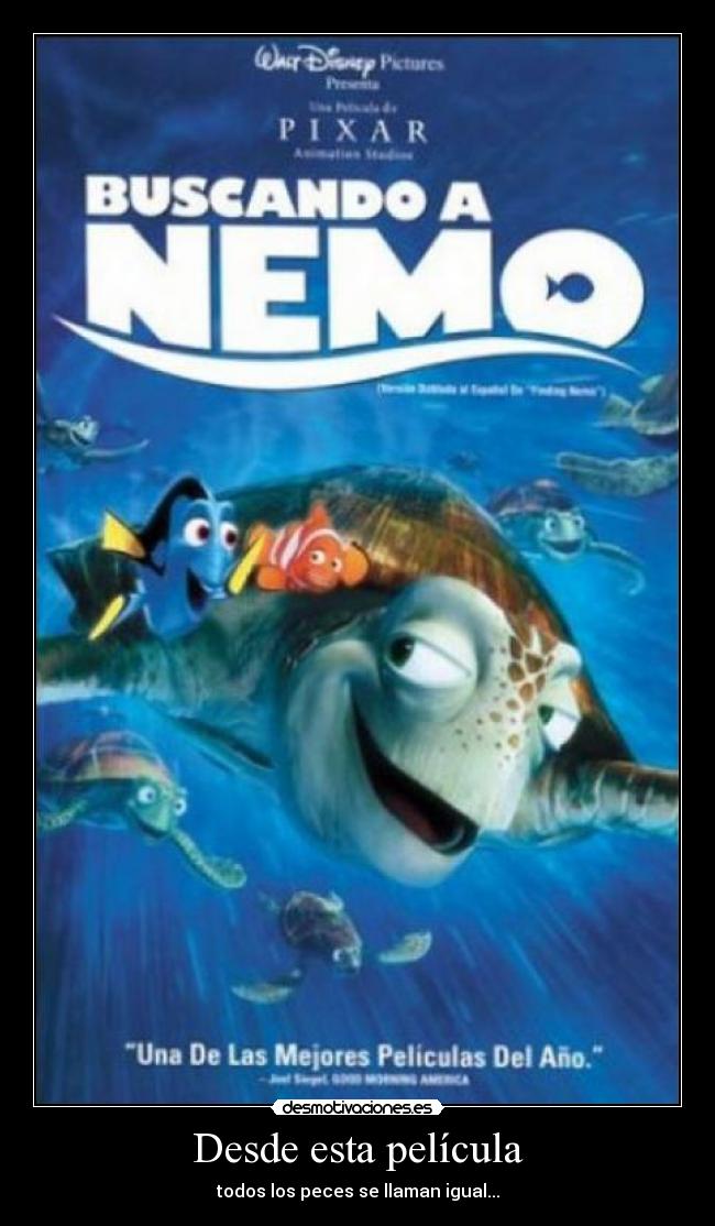 Desde esta película - todos los peces se llaman igual...