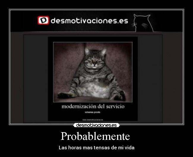 Probablemente  - Las horas mas tensas de mi vida