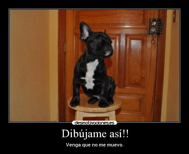 Dibújame así!! - Venga que no me muevo.