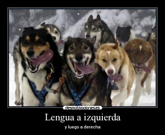 Lengua a izquierda - 