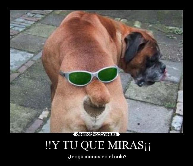 !!Y TU QUE MIRAS¡¡ - ¿tengo monos en el culo?