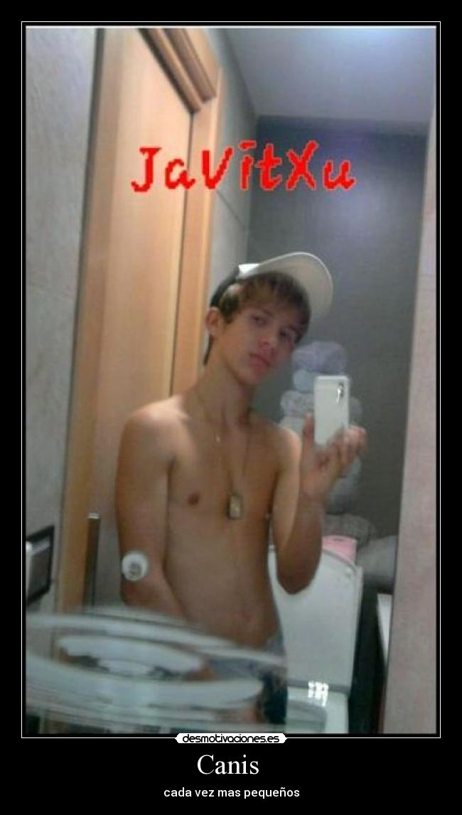 Canis - cada vez mas pequeños