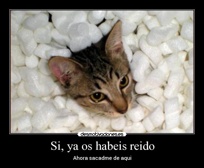 Si, ya os habeis reido - Ahora sacadme de aqui