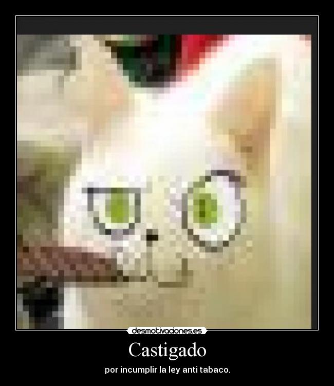 Castigado - por incumplir la ley anti tabaco.