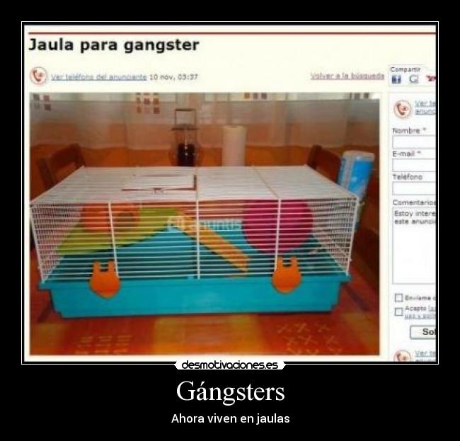 Gángsters - 