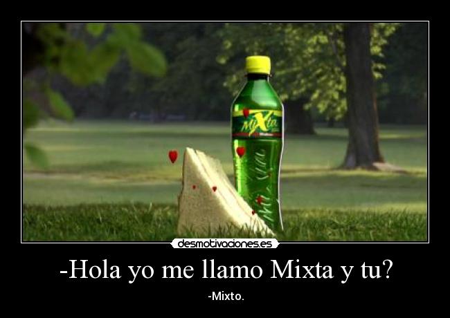 -Hola yo me llamo Mixta y tu? -