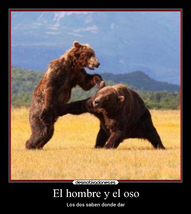 El hombre y el oso - Los dos saben donde dar